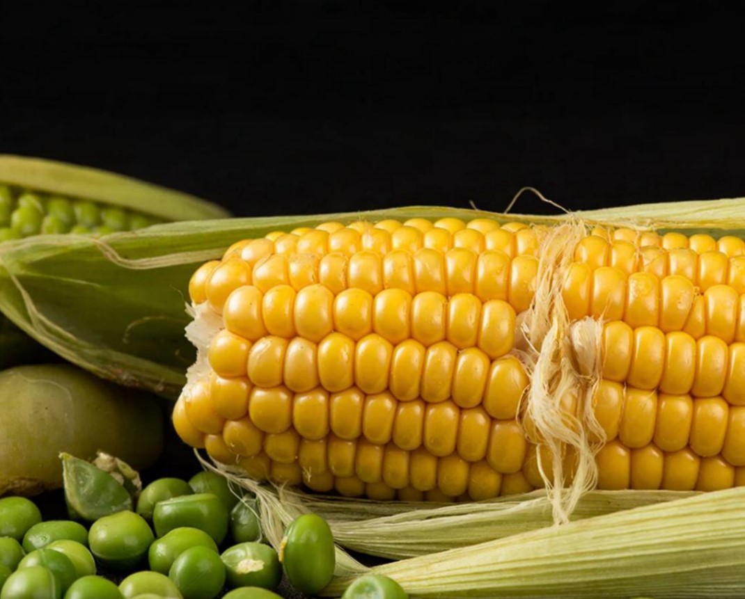 Кукуруза, Фасоль, Горошек